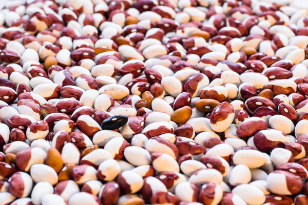 Красочное фото цветной фасоли крупным планом
