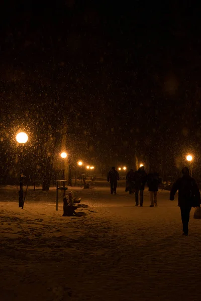 Parque Invierno Noche Cubierto Nieve Con Una Fila Lámparas Personas —  Fotos de Stock