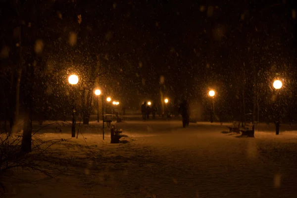 Parque Invierno Noche Cubierto Nieve Con Una Fila Lámparas Personas —  Fotos de Stock