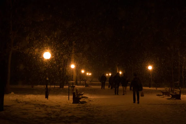 Зимний Парк Вечером Покрыт Снегом Рядом Светильников Гуляющих Людей — стоковое фото