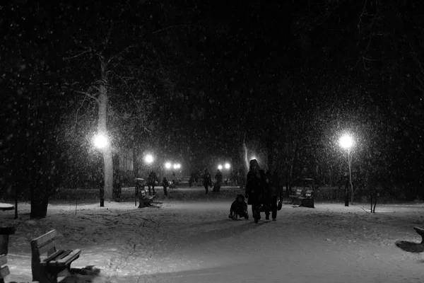 Parque Invierno Noche Cubierto Nieve Con Una Fila Lámparas Personas —  Fotos de Stock