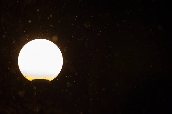 Уличное освещение зимой крупным планом, красивый снегопад
