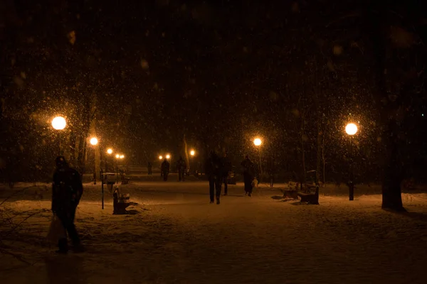 Parque Invierno Noche Cubierto Nieve Con Una Fila Lámparas Personas —  Fotos de Stock