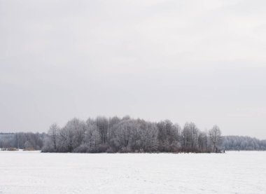 Kışın donmuş nehir orman