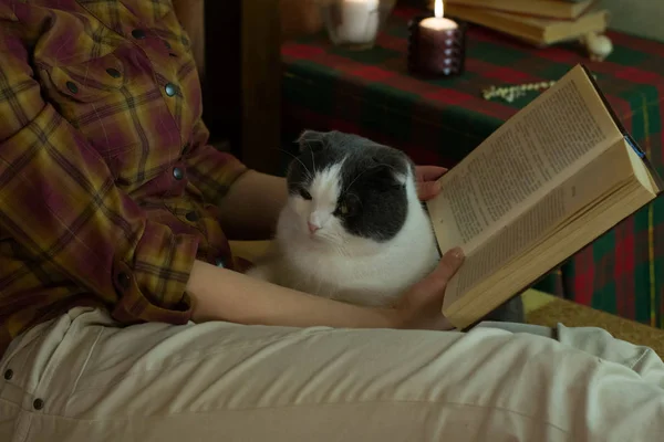 Girl Cat Reading Open Book Bed — Stock Photo, Image