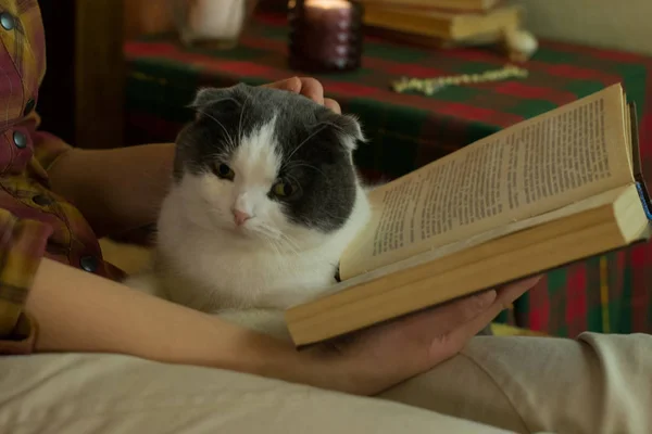 Girl and a cat reading an open book in the bed