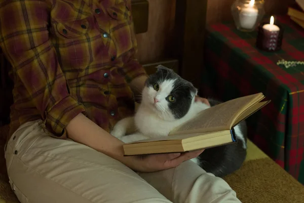 Girl and a cat reading an open book in the bed