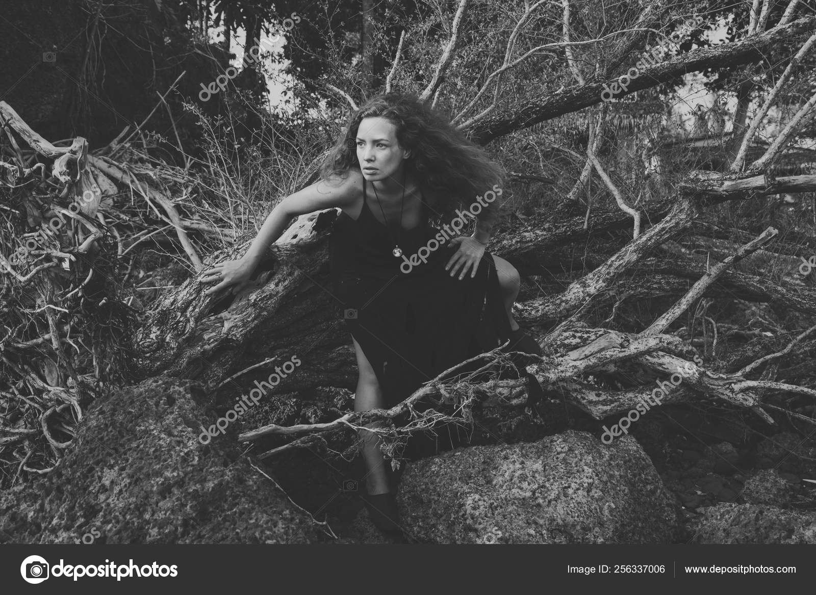 Creative Photo Shot Woman Long Curly Hair Outdoors Wild Nature