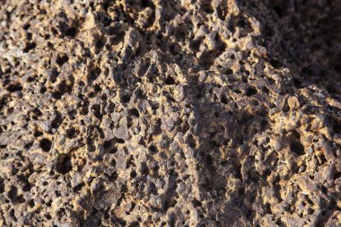 deniz kıyısında taşların yakın