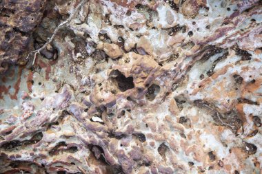 deniz kıyısında taşların yakın