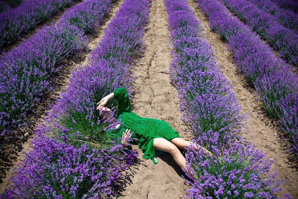 在薰衣草地里穿着绿色衣服的女孩 — 图库照片