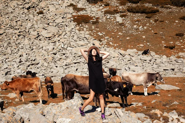 Troupeau Vaches Pâturant Montagne Femme — Photo