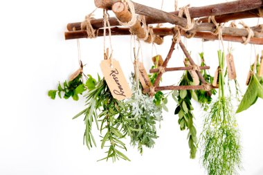 Fresh Herbs hanging on Branch Herb Dryer with Air symbol on white background clipart