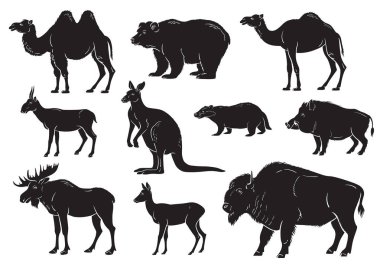 Beyaz arka plan üzerinde vahşi hayvanlar topluluğu