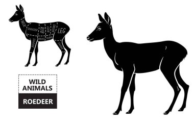 Roedeer kümesi kesti. Poster kasap diyagramı - karaca. Vintage tipografik çizilmiş.