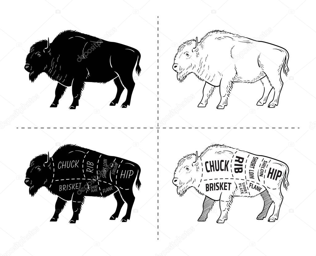 Cut of Bison set. Poster Butcher diagram - Bison. Vintage typographic hand-drawn.