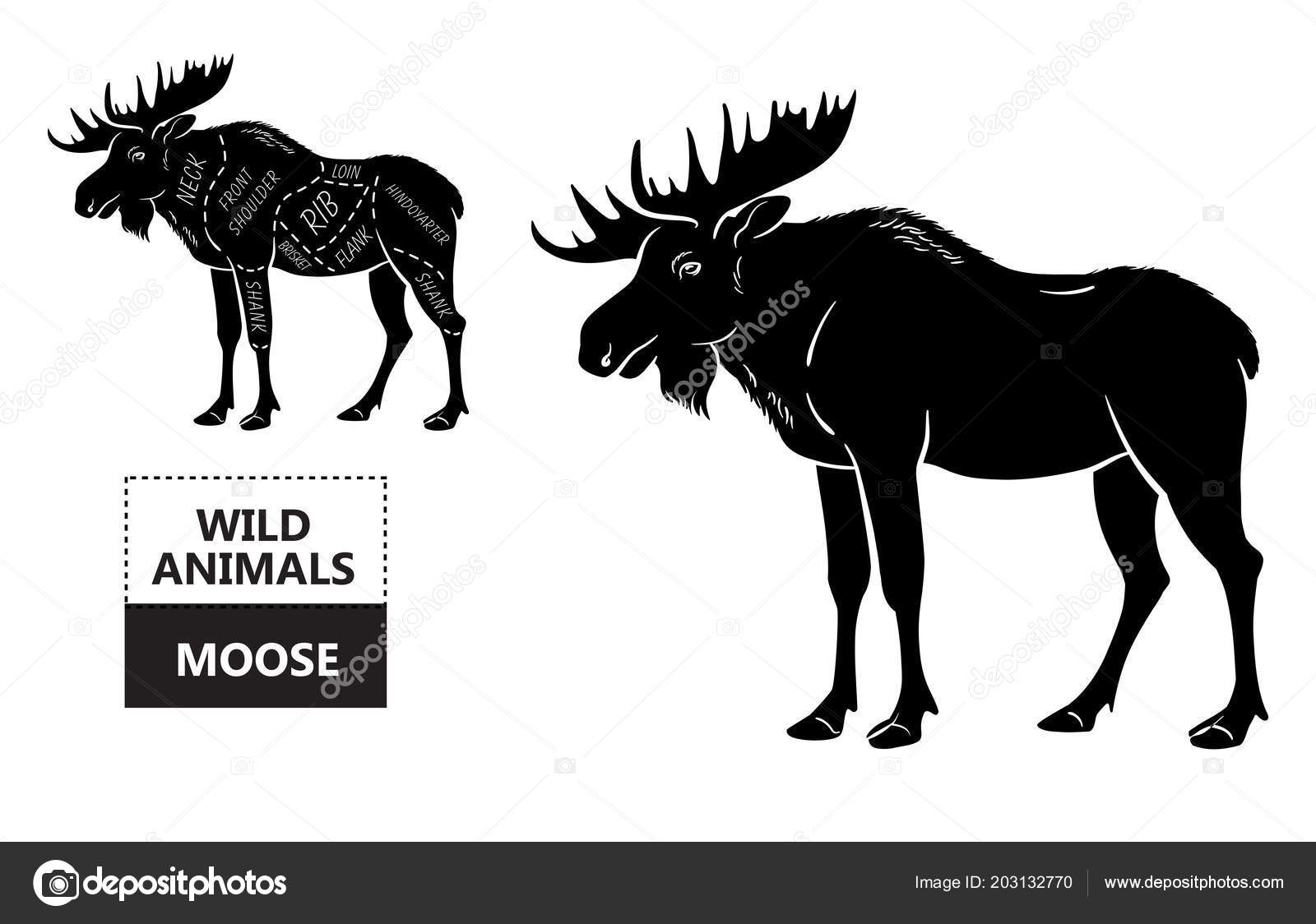 Elk Butcher Chart