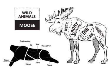 Elk kümesi kesti. Poster kasap diyagramı - çöl-gemi. Vintage tipografik çizilmiş.