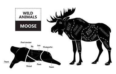 Elk kümesi kesti. Poster kasap diyagramı - çöl-gemi. Vintage tipografik çizilmiş.