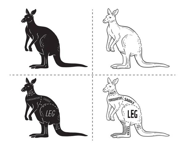Kanguru kümesi kesti. Poster kasap diyagramı - çöl-gemi. Vintage tipografik çizilmiş — Stok Vektör