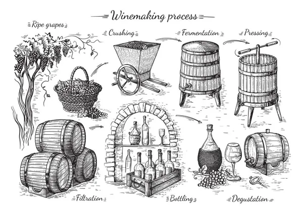 Proces van wijnproductie — Stockvector