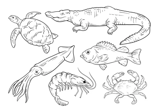 Deniz hayvanları satır kümesi