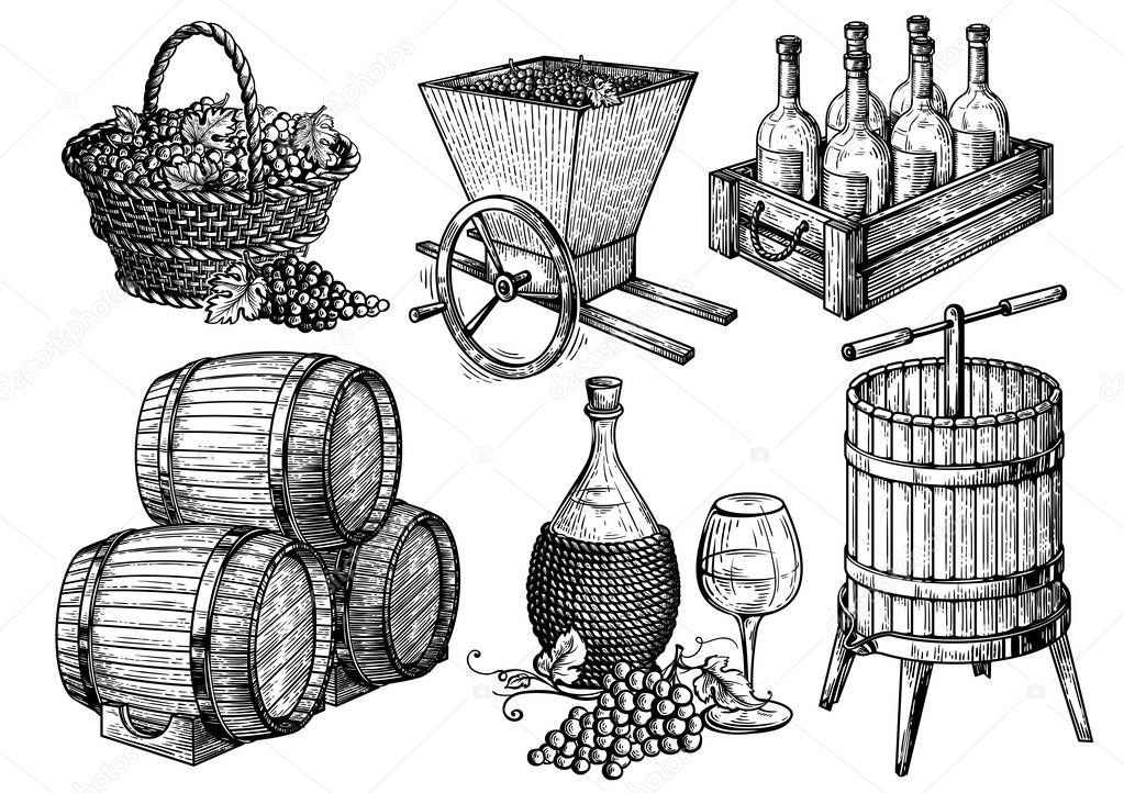 collection vector sketch picture Wine set.