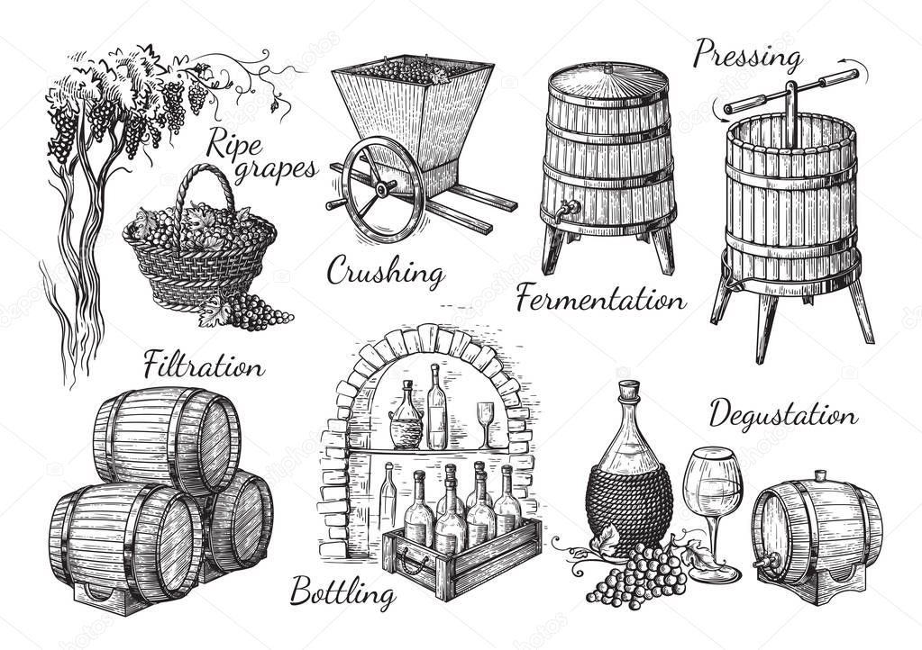 process of wine production