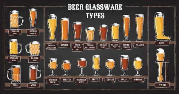 Beer types. A visual guide to types of beer. Various types of beer in recommended glasses — Stock Vector