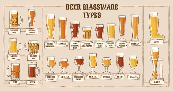 Beer types. A visual guide to types of beer. Various types of beer in recommended glasses — Stock Vector
