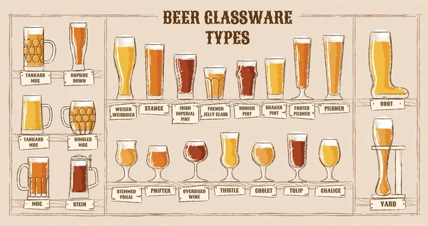 Tipos de cerveza. Una guía visual de los tipos de cerveza. Varios tipos de cerveza en vasos recomendados — Archivo Imágenes Vectoriales