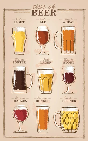 Tipos de cerveja. Um guia visual para tipos de cerveja. Vários tipos de cerveja em copos recomendados —  Vetores de Stock