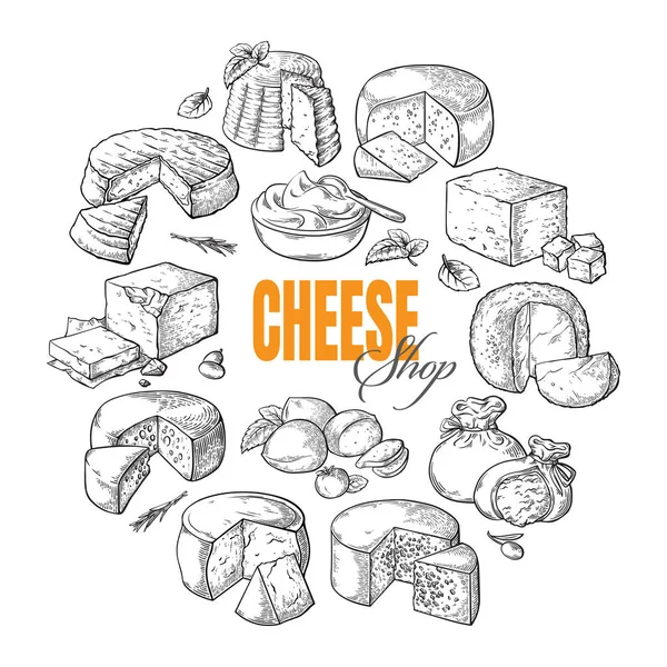 Fundo circular de diferentes queijo vista superior —  Vetores de Stock