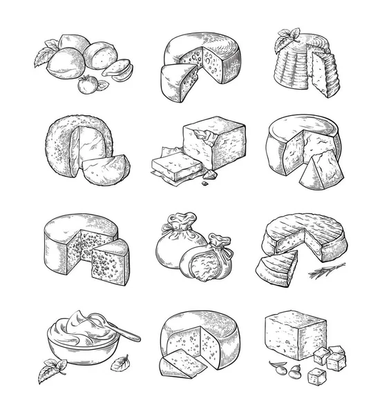 Set van verschillende kaas — Stockvector