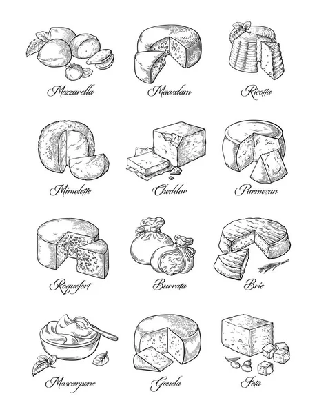 Set di formaggi diversi — Vettoriale Stock