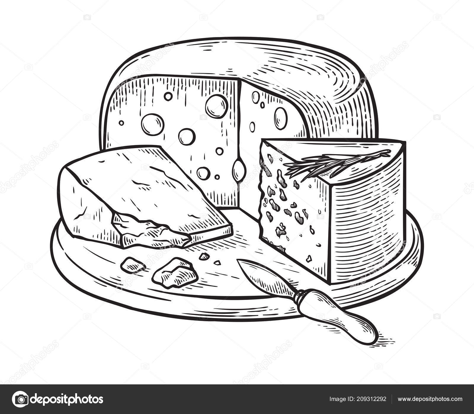 Cheese hand drawn sketch engraving vector illustration. Stock Vector