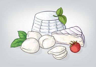 Peynir ricotta mozzarella el çekilmiş sulu boya seti.