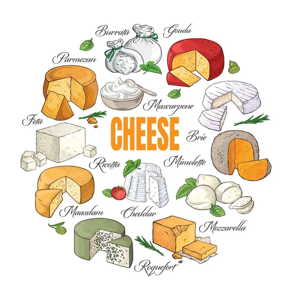 Collection d'assortiment de fromage coupé en tranches croquis dessiné à la main — Image vectorielle