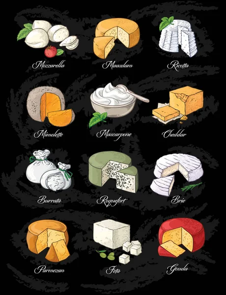 Collection of Cut sliced cheese assortment hand drawn sketch — Stock Vector