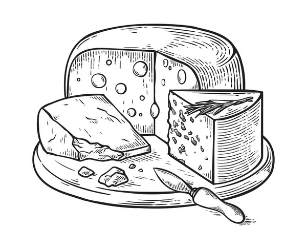ベクター イラストを彫刻チーズ手描きのスケッチ. — ストックベクタ