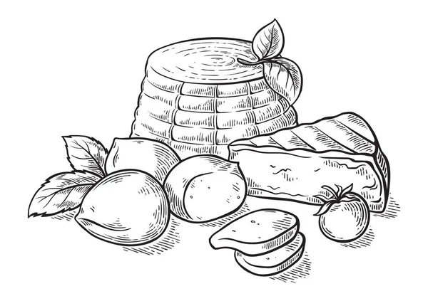 Ricottás-mozzarella sajt kézzel rajzolt beállítása gravírozás. — Stock Vector
