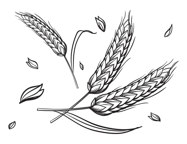 Unas cuantas espigas de trigo sobre un fondo beige dibujo a mano vectorial boceto — Vector de stock