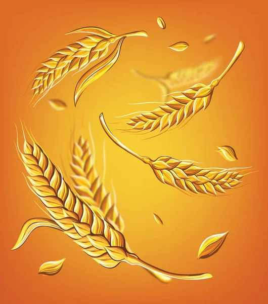 Несколько колосьев пшеницы на бежевом фоне, рисование векторного эскиза рукой — стоковый вектор