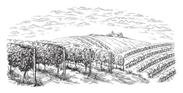 Виноградна плантація пагорби, дерева, хмари на горизонті — стоковий вектор