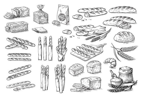 collection of natural elements of bread and flour sketch