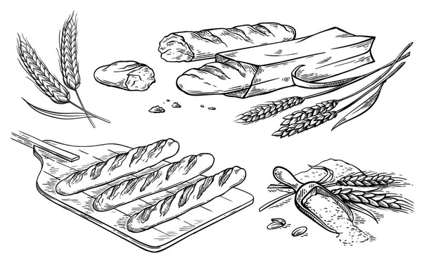 Verzameling van de natuurlijke elementen van brood en meel schets — Stockvector