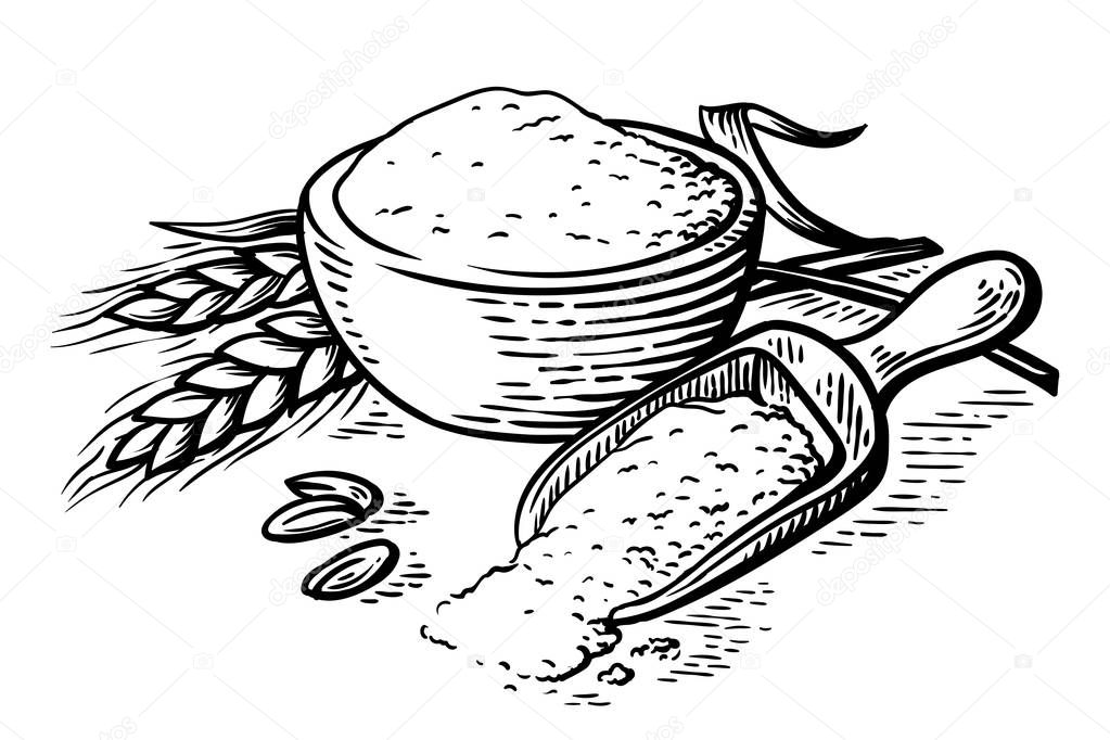 fresh flour wooden dish scoop on white background vector