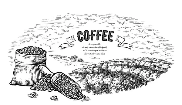 Plantação de café paisagem saco arbusto e colher em estilo gráfico vetor desenhado à mão — Vetor de Stock