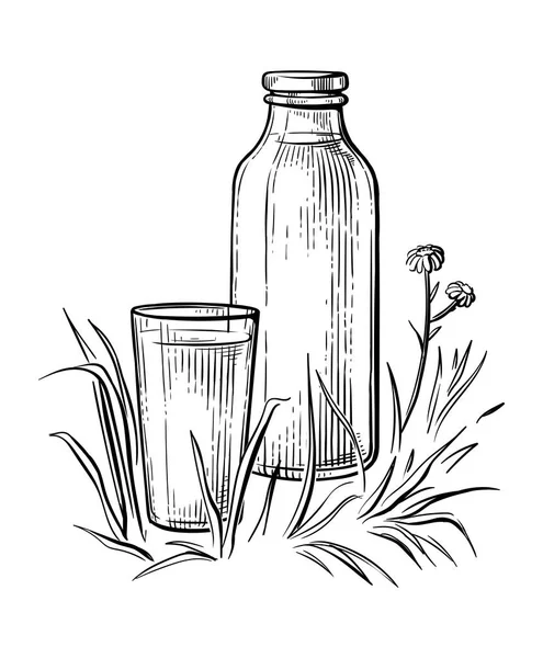 Zdravá snídaně náčrt sklo láhev mléka pohár vektor — Stockový vektor
