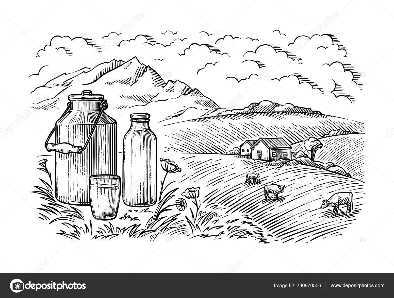 Healthy Breakfast Drawing Sketch Glass Milk Bottle Iron Can Cup Field Cow Vilage Vector Stock Vector Image By C Vectorgoods Gmail Com
